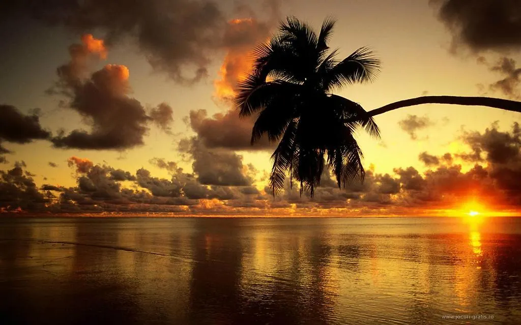 Ultimate Tourism Experience contacts