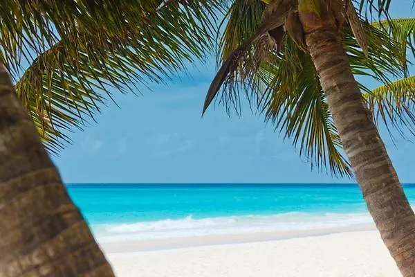 Ultimate Tourism Experience Villa Nassau
